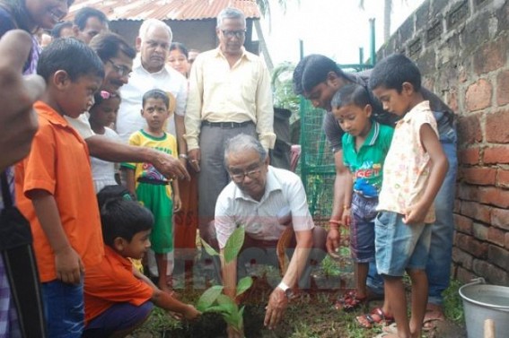 AMC Mayor planted tree on the occasion of â€˜Van-Mahotsav-2016â€™